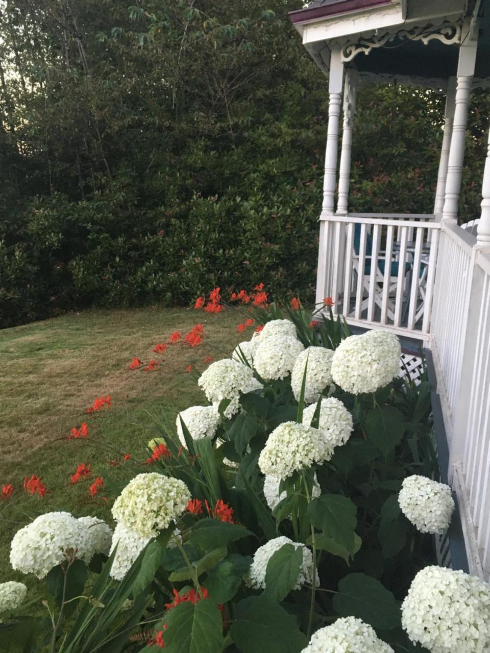 Tayberry Cottage Puyallup Ngoại thất bức ảnh